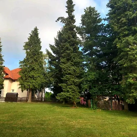 Kuca Za Odmor Holiday home Zlatibor